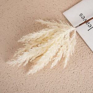 u10FIvWillingYou  u[P ԍ ppXOX CeA t[AWg kX^C lHϗtA  Vv ze ItBX X Ƃ̑ ̓ v[g 