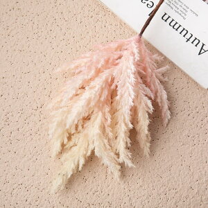 u10FIvWillingYou  u[P ԍ ppXOX CeA t[AWg kX^C lHϗtA  Vv ze ItBX X Ƃ̑ ̓ v[g 