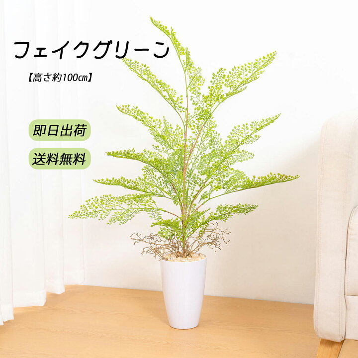 楽天市場】【高さ約100cm】 フェイクグリーン 大型 人工 観葉植物 