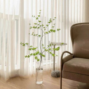 hE_ccW O[ H160cm ^tFCNO[  ϗtA PiCeA lH A[eBtBVO[ RɌ`𒲐\ ܂肽ݍ   rO