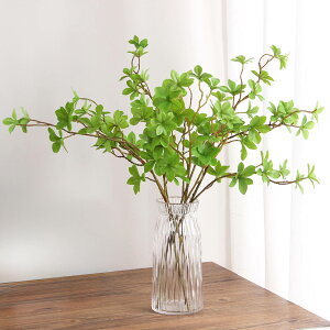 urTvhE_ccW H68cm 4{ tFCN O[ } hE_ tFCNO[ } hE_ccW } ǂ ϗtA ԍ  A[eBtBVt[ A