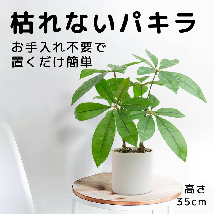 楽天市場】【レビュ特典あり】WillingYou 観葉植物 フェイクグリーン 