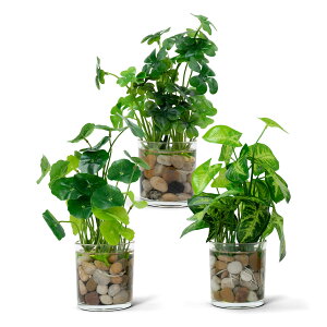 urTvWillingYou  ϗtA k KXRbv 3_Zbg CeAO[ tFCNO[  ϗtA   rO ItBX  sv Mt