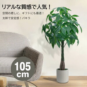 urTvtFCNO[ ^ lHϗtA pL ϗt yJ^EK̖؁z105cm  ΂t  ItBX A CeA