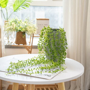 urTvtFCNO[ ݂艺 O[  ݂ 1{ ͂ȂO[ S78cm Ǌ|  fBXLfBA  ϗtA  CeAO[ sv t