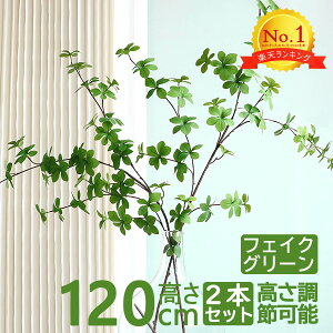 urTvtFCNO[ hE_ccW O[ H120cm 2{Zbg ^  ϗtA tFCN PiCeA lH A[eBtBVO[ RɌ`𒲐\ 