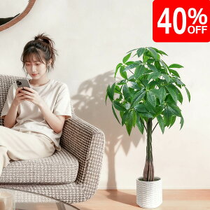 yX[p[Z[聚40%ItzurTvtFCNO[ ^ lHϗtA pL ϗt yJ^EK̖؁z105cm  ΂t  ItBX A CeA