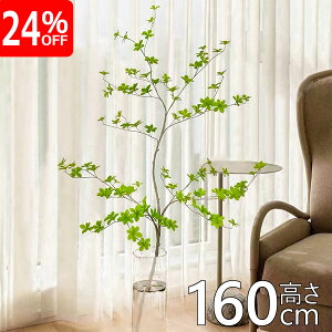 yX[p[Z[聚24%ItzhE_ccW O[ H160cm ^tFCNO[  ϗtA PiCeA lH A[eBtBVO[ RɌ`𒲐\ ܂肽