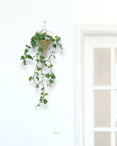 urTvtFCNO[ ݂艺 Ǌ| ZbgyIVȃoXPbgtzS80cm lH ϗtA tFCN y Mtg  nMOlHϗtA ցEʏEg