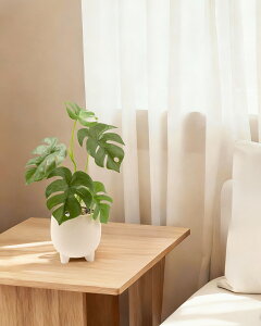 urTvtFCNO[ Xe ̌^ lH ϗtA 픫t 39cm ͂Ă  CeAO[ sv Mtgɂ