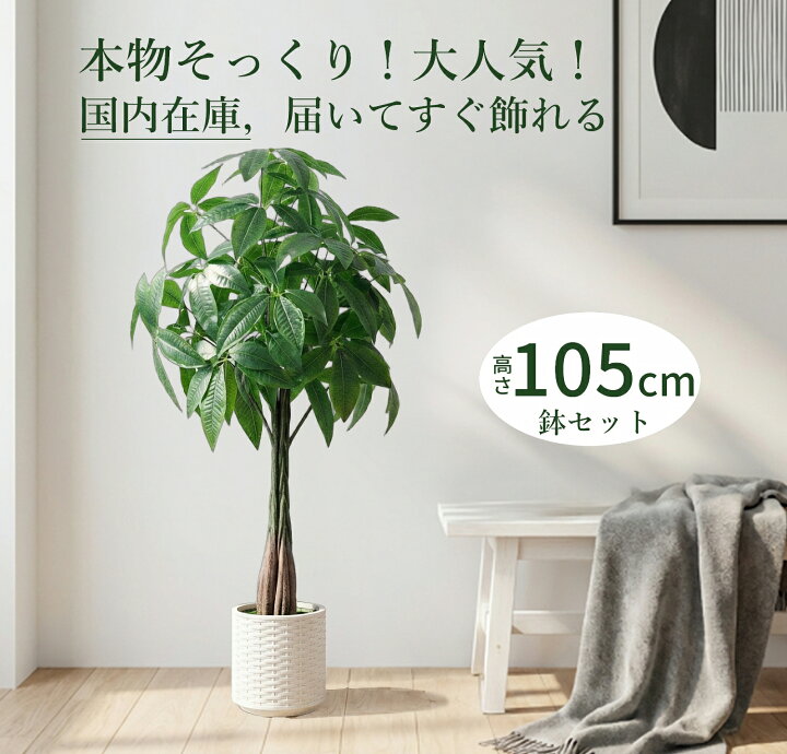楽天市場】【ポイント20倍 +クーポン！】パキラ 105cm 人工観葉植物 