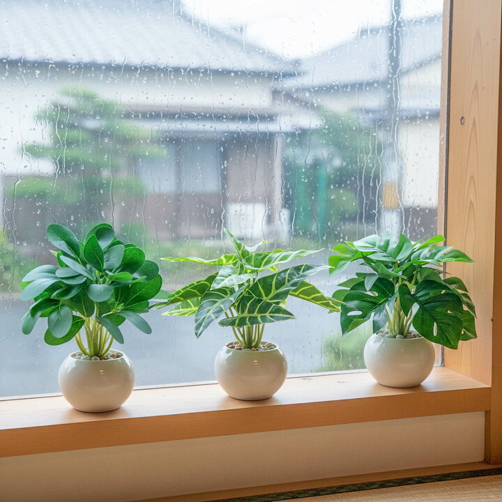 楽天市場】フェイクグリーン 卓上 3点セット 鉢付き 人工 観葉植物 