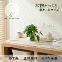 【スーパーSALE】先着50名★10%OFF ランキング1位【フェイクグリーン ミニ 卓上】トイレ 洗面所 観葉植物 人工観葉植…