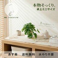 【SS特別計画】【スマホスタンドのおまけ付き】 フェイクグリーン ミニ 卓上 人工観葉植物 造花 小型 鉢…