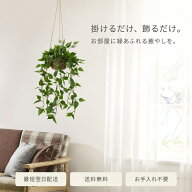 【スーパーSALE】先着50名★10%OFFフェイクグリーン 吊り下げ 95cm ポトス 観葉植物 造花 おしゃれ 壁掛…