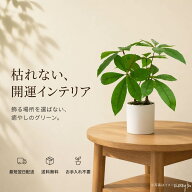 【スーパーSALE】先着50名★10%OFF WillingYou 観葉植物 フェイクグリーン インテリア 人工観葉植物 観葉…