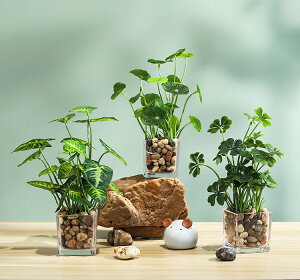 r[Tuv lH ϗtA tFCNO[ 3_Zbg - TCYőɍœKBAtFCNʂ܂B~jKXtilt̃N[o[/@