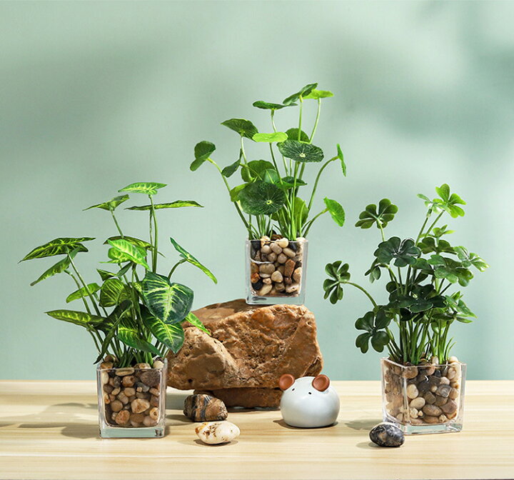 楽天市場】レビュー特典あり「送料無料」 人工 観葉植物 フェイク 
