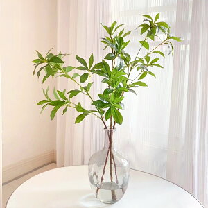 yzhE_ccW H100cm 3{ ԕrZbg ϗtA tFCN O[ ԍ  A[eBtBVt[ AW tFCN CeAO[ A[ VNt[ 