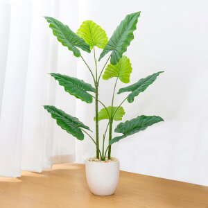 tFCNO[ lHϗtA ^ϗt 85cm x 65cm x s50cm | CeA | Os | ȒPی Eƒp 悯oRj[EE_fR[VEz