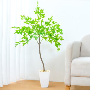 WillingYou ϗtA tFCN 122cm x 90cm x s90cm | tFCNO[ ^ lHϗt  Os |   x_ ItBXp | ȒP sv QSz
