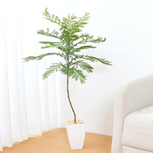 WillingYou tFCNO[ ^ 125cm x 80cm x s80cm lHϗtA ϗt tFCN  Os |   x_ ItBXp | ȒP sv QSz