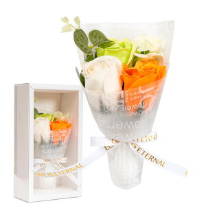 \[vt[ ~ju[P Mtg v[g  ԑ o 3{ hV̓ V{t[ t[\[v IW \[vt[ {bNX IW