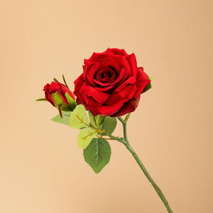 WillingYou  u[P ԉŃu[P EFfBOu[P CeA t[AWg kX^C lHϗtA  Vv ze ItBX X Ƃ̑ ̓ v[g Mt