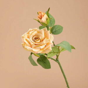 WillingYou  u[P ԉŃu[P EFfBOu[P CeA t[AWg kX^C lHϗtA  Vv ze ItBX X Ƃ̑ ̓ v[g Mt