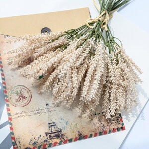   u[P CeA t[AWg kX^C lHϗtA  Vv ze ItBX X Ƃ̑ ̓ v[g Mtg ԉŃu[P EFfBOu[