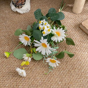 WillingYou  u[P  ԑ DIY lH ϗtA CeA t[ EFfBO  Vv ze ItBX X   ʐ^Be tHg  ̓ v[g Mtg ͂