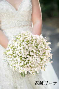 uoׁvWillingYou ݑ  8 ԉŃu[Pp ^ JX~ ݂  H20cm zCg