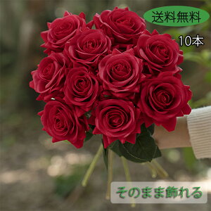  o [Y KN 10{Zbg tFCNt[ AW ԁEϗtAEt  p[eB[ lX Cxg  u[Pԍ CeA z[ ֏ bh