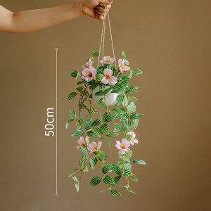 tFCNO[ ݂艺 ǂ lH ϗtA tFCN  50cm 1{ 2F O[ ԍ A[eBtBVt[ AW tFCN A[gt[ VNt[  v