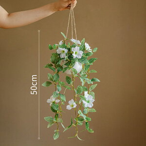 tFCNO[ ݂艺 ǂ lH ϗtA tFCN  50cm 1{ 2F O[ ԍ A[eBtBVt[ AW tFCN A[gt[ VNt[  v
