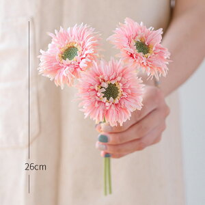 u5FIvWillingYou  u[P ԍ K[x CeA t[AWg kX^C lHϗtA  Vv ze ItBX X Ƃ̑ ̓ v[g Mtg 