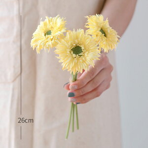 u5FIvWillingYou  u[P ԍ K[x CeA t[AWg kX^C lHϗtA  Vv ze ItBX X Ƃ̑ ̓ v[g Mtg 