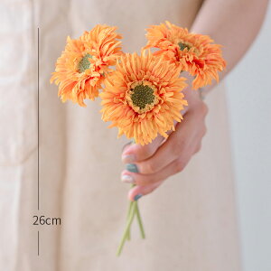 u5FIvWillingYou  u[P ԍ K[x CeA t[AWg kX^C lHϗtA  Vv ze ItBX X Ƃ̑ ̓ v[g Mtg 