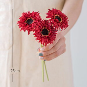 u5FIvWillingYou  u[P ԍ K[x CeA t[AWg kX^C lHϗtA  Vv ze ItBX X Ƃ̑ ̓ v[g Mtg 