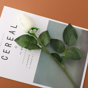 u5FIvWillingYou  u[P ԍ A^b` KN [Y CeA t[AWg kX^C lHϗtA  Vv ze ItBX X Ƃ̑ ̓ v