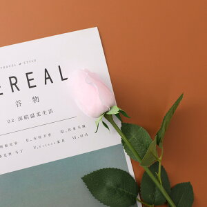 u5FIvWillingYou  u[P ԍ A^b` KN [Y CeA t[AWg kX^C lHϗtA  Vv ze ItBX X Ƃ̑ ̓ v