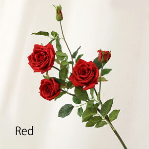 u6FIvWillingYou  u[P ԍ A^b` KN [Y CeA t[AWg kX^C lHϗtA  Vv ze ItBX X Ƃ̑ ̓ v