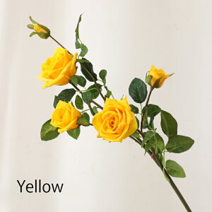 u6FIvWillingYou  u[P ԍ A^b` KN [Y CeA t[AWg kX^C lHϗtA  Vv ze ItBX X Ƃ̑ ̓ v