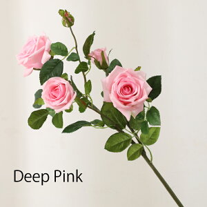 u6FIvWillingYou  u[P ԍ A^b` KN [Y CeA t[AWg kX^C lHϗtA  Vv ze ItBX X Ƃ̑ ̓ v