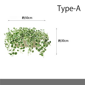 tFCNO[ ݂艺 ǂ S10 lH ϗtA tFCN  fCW[ o 60cm/25cm 1{ O[ ԍ A[eBtBVt[ AW tFCN A[gt[ 