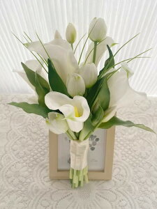 EFfBOu[P  u[P ԉŃu[P CeA t[AWg kX^C lHϗtA  Vv ze ItBX X Ƃ̑ ʐ^Be tHg ̓ v[