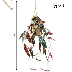 tFCNO[ ݂艺 ǂ 10 hE_ccW lH ϗtA tFCN  70/110cm O[ ԍ A[eBtBVt[ AW tFCN A[gt[  