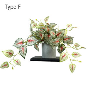 tFCNO[  10 ݂艺 ǂlH ϗtA ݂艺 ǂ tFCN  O[ ԍ A[eBtBVt[ AW tFCN A[gt[  v[