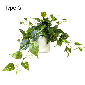 �t�F�C�N�O���[�� ��� 10��� �݂艺�� �ǂ����l�H �ϗt�A�� �݂艺�� �ǂ��� �t�F�C�N ���� �O���[�� �ԍ� �A�[�e�B�t�B�V�����t�����[ �A�����W �t�F�C�N �A�[�g�t�����[ ������� �v���[