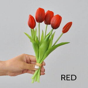 u8FIvWillingYou  `[bv CeA u[P ԍ t[AWg kX^C lHϗtA  Vv ze ItBX X Ƃ̑ ̓ v[g Mt